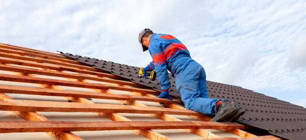 Best Sheet Metal Roofing  in Park Hills, MO
